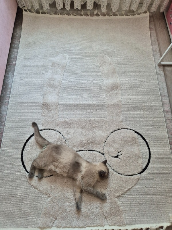 visual-comment-img