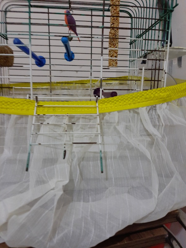 Fit Fly Kapalı Kuş Kafesi Tülü 40x25x25 cm