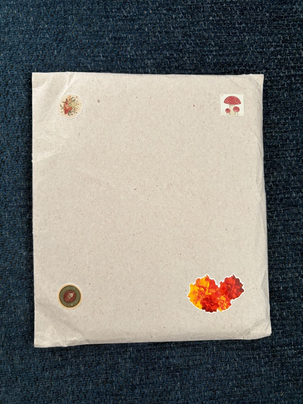 visual-comment-img