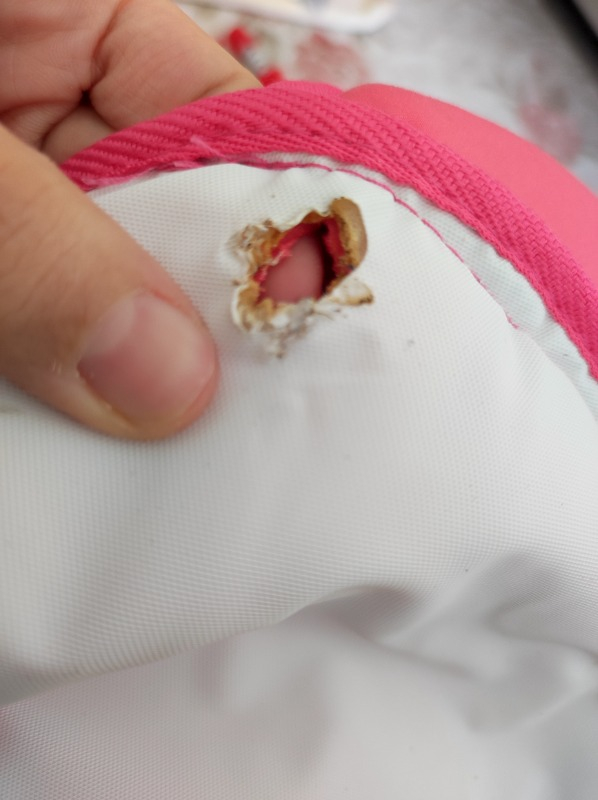 Prego Baby Prego Teddy Yürüteç