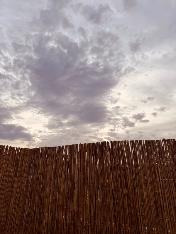 visual-comment-img