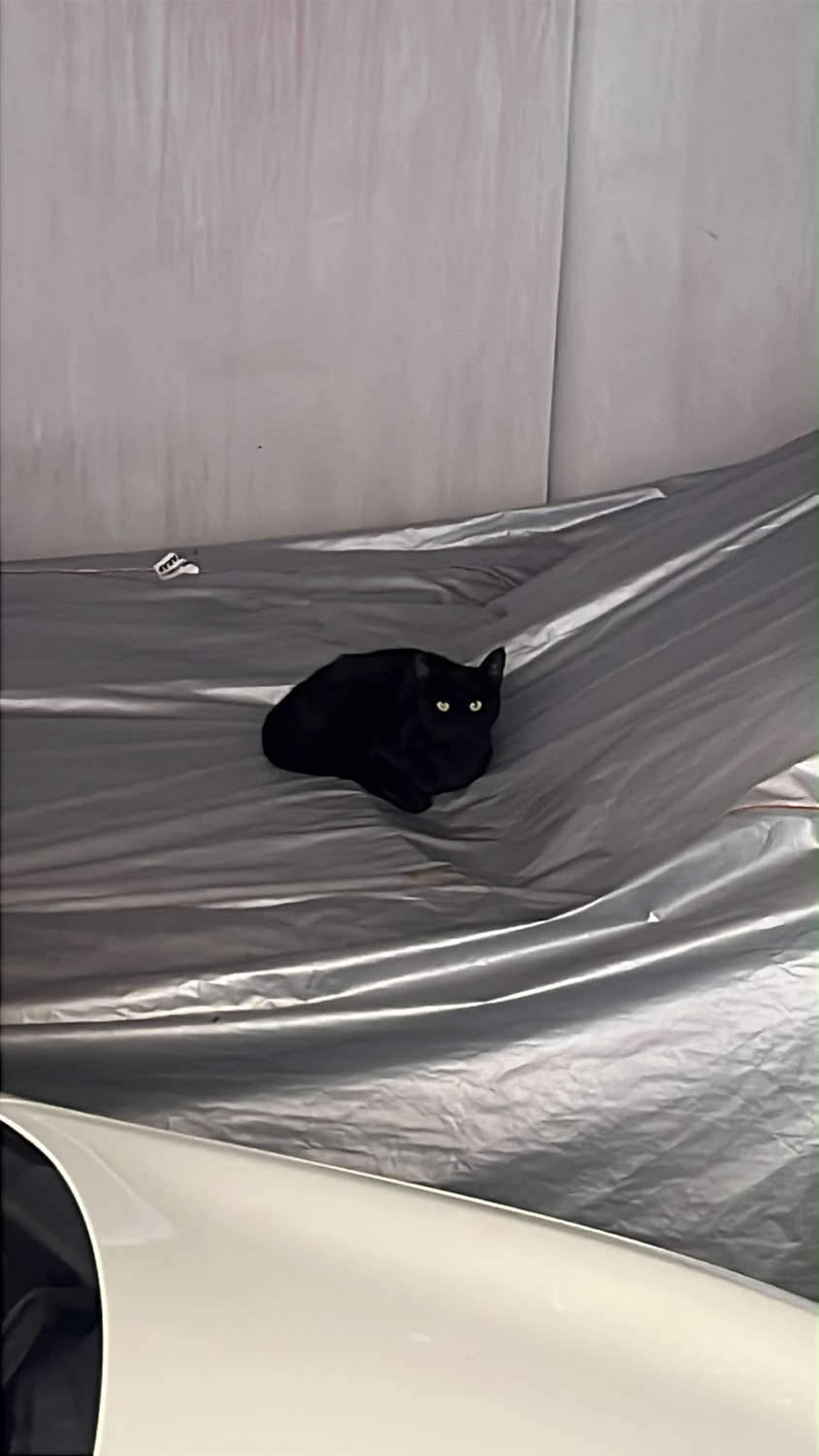 Repel Kedi Uzaklaştırıcı Sprey