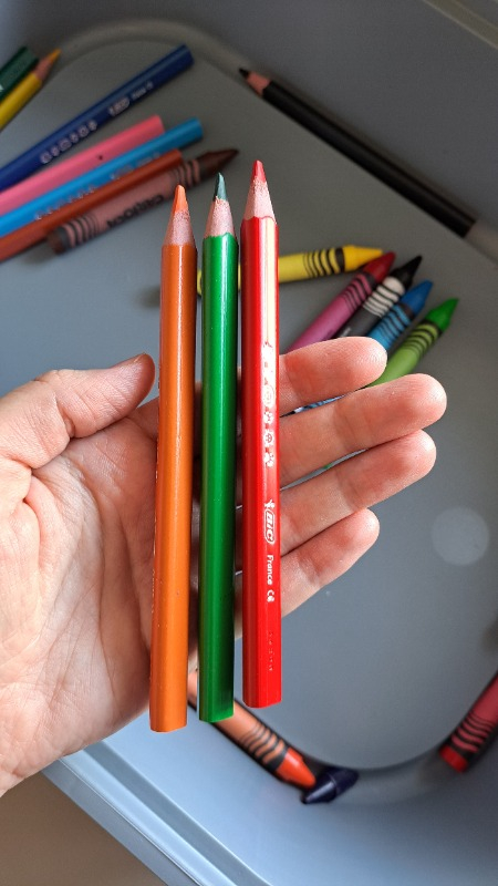 Bic Evolution Üçgen jumbo Boya Kalemi 12 Renk 1632