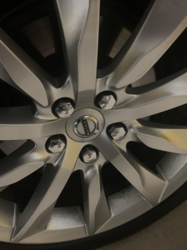 Oto Craft Bijon Kapağı 19 mm Krom 20 Adet