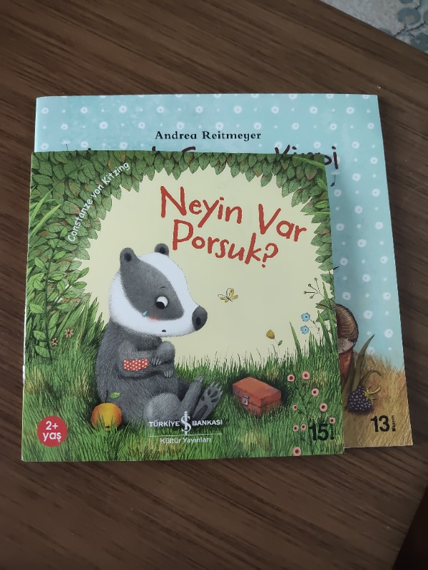 İş Bankası Kültür Yayınları Neyin Var Porsuk? - Constanze Von Kitzing