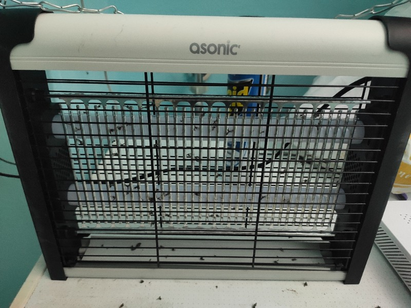 Asonic AS-A28 Siyah 4W+ 2000V Iki Ledli Sinek Öldürücü