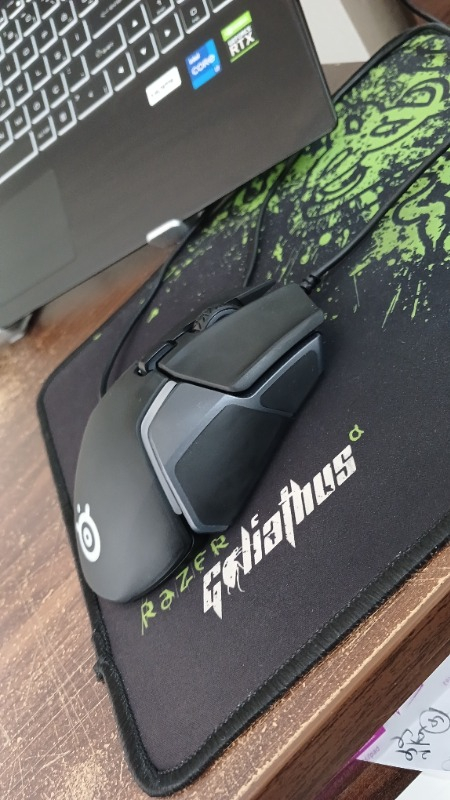 SteelSeries Rival 600 Oyuncu Mouse SSM62446