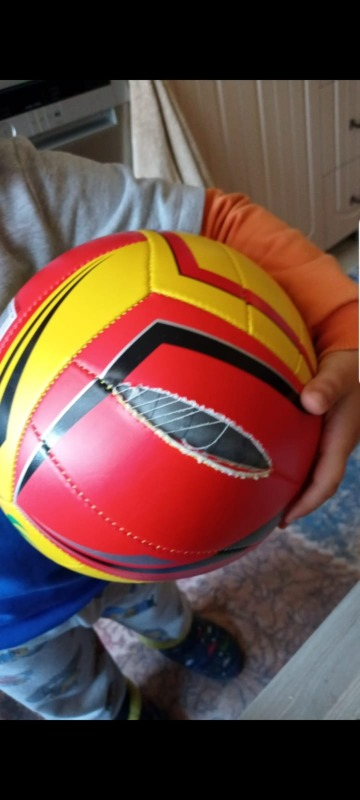 Anka Voleybol Topu (Profesyonel Boy)