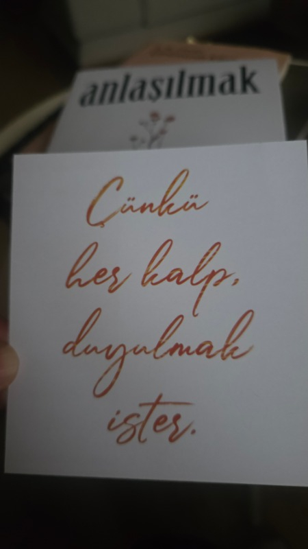İndigo Kitap Anlaşılmak - Necati Demirci
