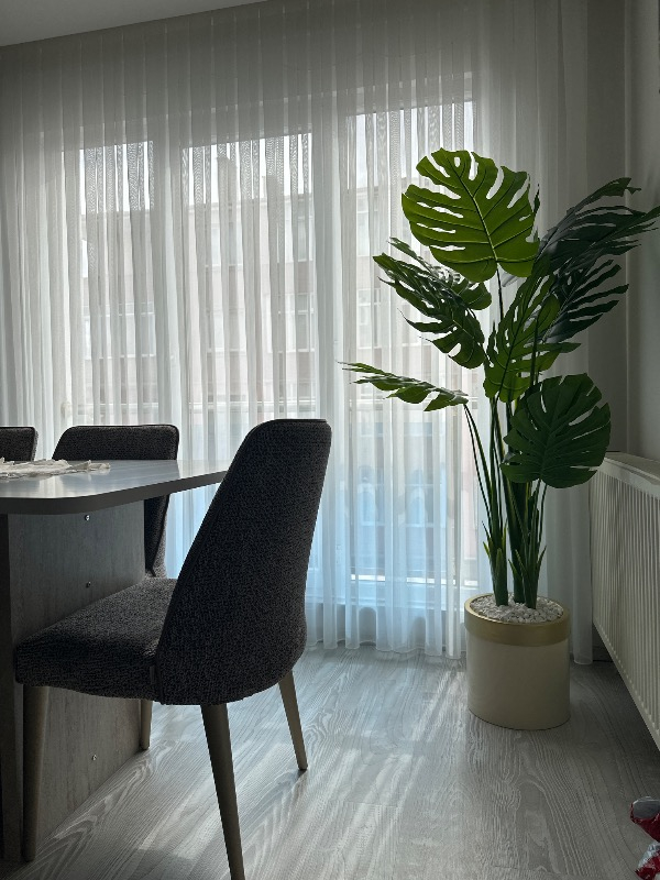 visual-comment-img