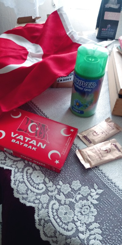 Vatan Türk Bayrağı 40 x 60 cm