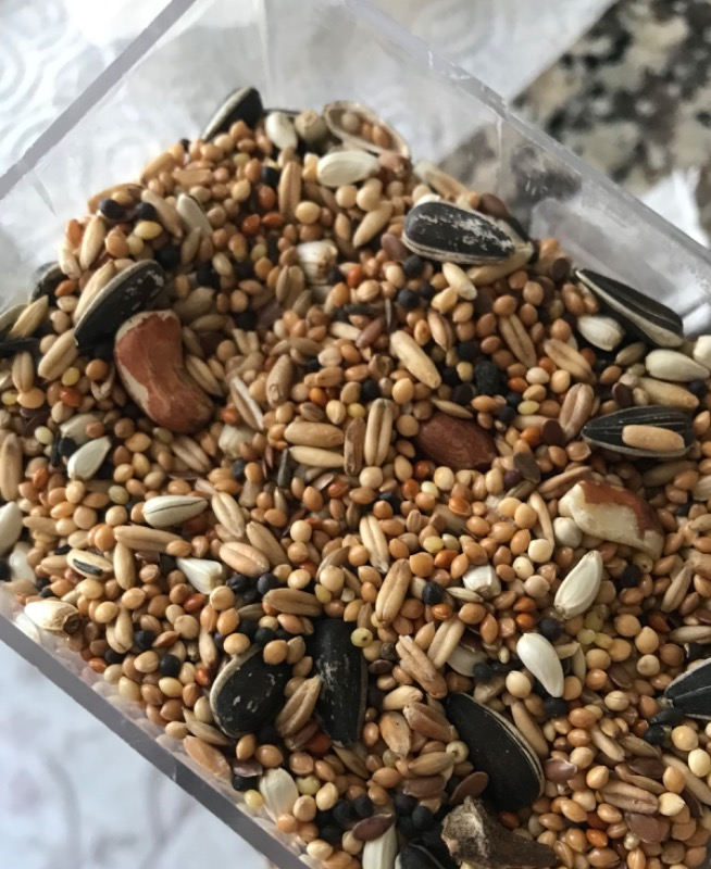 Versele Laga Paraket Yemi 1 kg