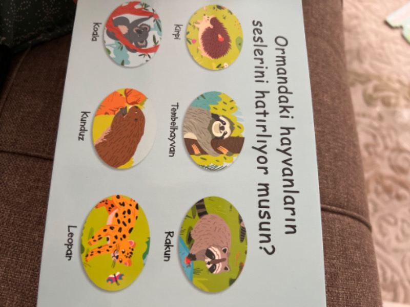 Çalışkan Hayvanlar - Orman (Sesli Kitap)