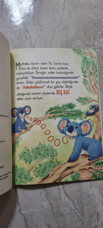 Koala Olmanın Sırrı - İhsan Kartoğlu