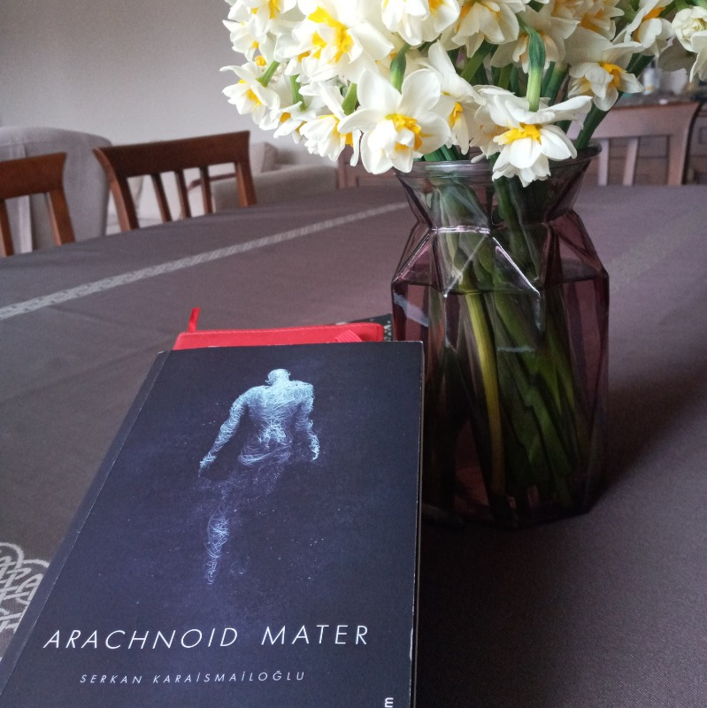 Arachnoid Mater - Serkan Karaismailoğlu