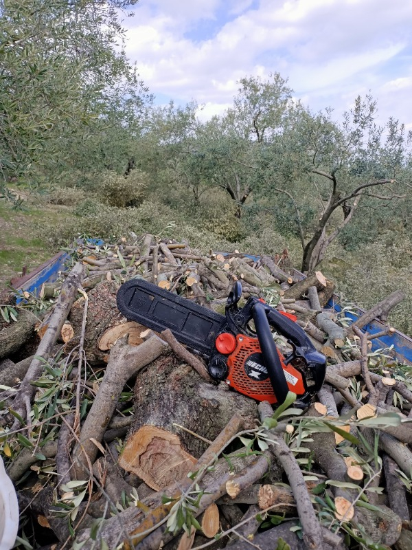 Echo Cs 2511 Tes 1.49 Hp Benzinli Motorlu Testere