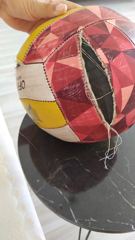 Anka Voleybol Topu (Profesyonel Boy)