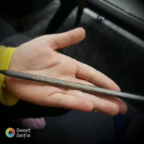 Bic Evolution Black HB Kurşun Kalem 12'li Kutu