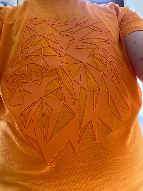 Gs Store Galatasaray Erkek T-Shirt E252099