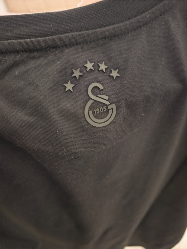 Gs Store Galatasaray Erkek T-Shirt E252099
