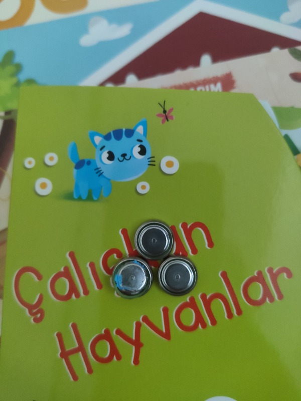 Çalışkan Hayvanlar - Park (Sesli Kitap)