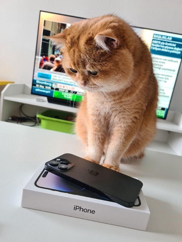iPhone 14 Pro Max 128 GB