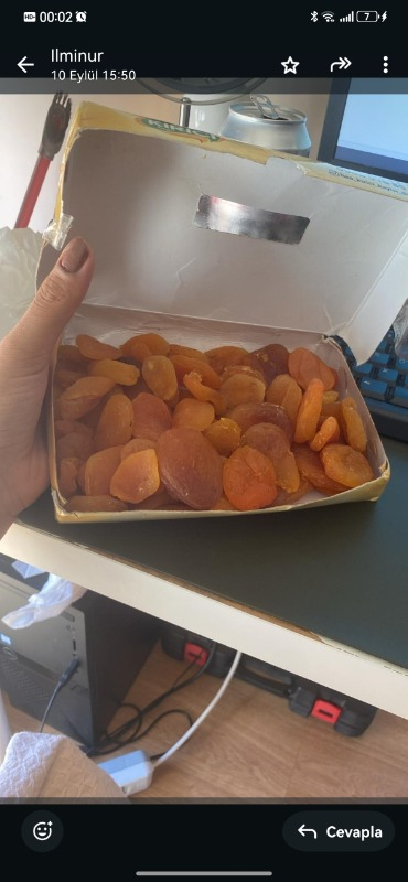 Tariş Kuru Kayısı Ahşap Kutu 500 gr