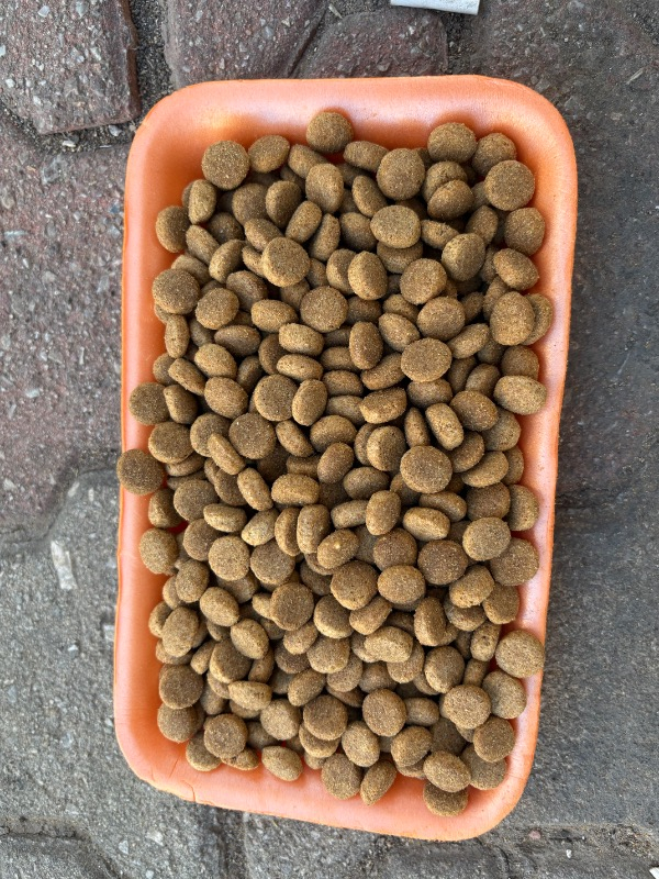 King Biftekli Yetişkin Köpek Maması 15 Kg