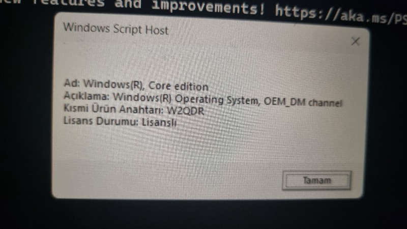 Microsoft Windows 11 Home - Elektronik Lisans