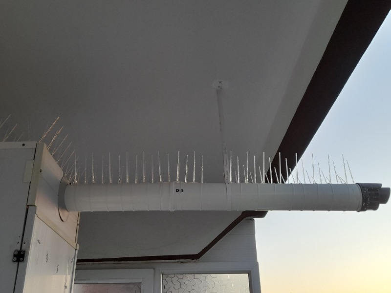 Expel Plastik Kuşkonmaz Bariyer Kuş Engelleyici Tel 3D Model 10'lu