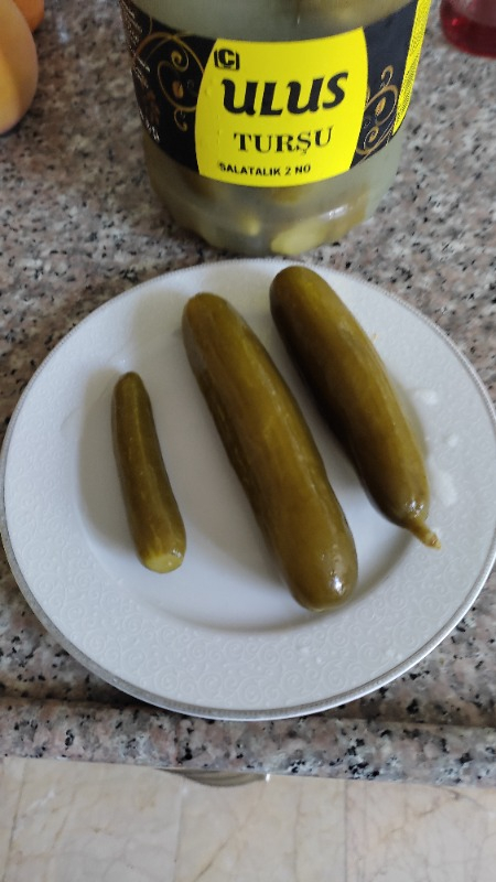 Ulus Turşu Çubuk Salatalık Turşusu 2 Numara 2 kg