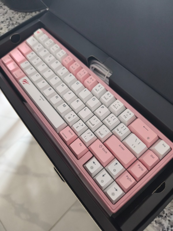 Havit Gamenote KB874L Mekanik Red Switch Gaming %60 Klavye - Red Switch