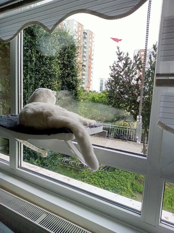 visual-comment-img